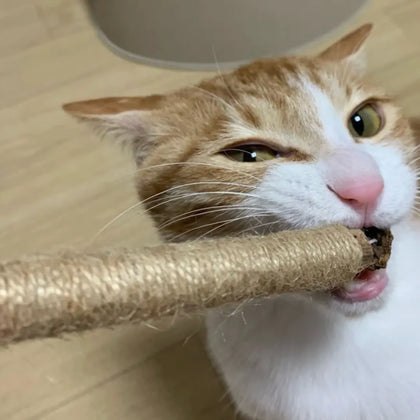 Du reichst den Stick.
