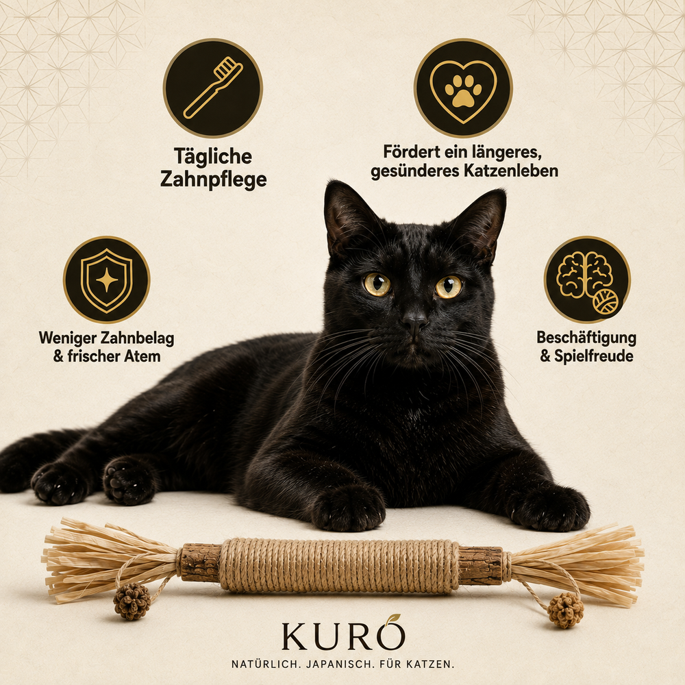 Ein einfaches Ritual.Gesunde Zähne, weniger Zerkautes – und eine ausgeglichene Katze.