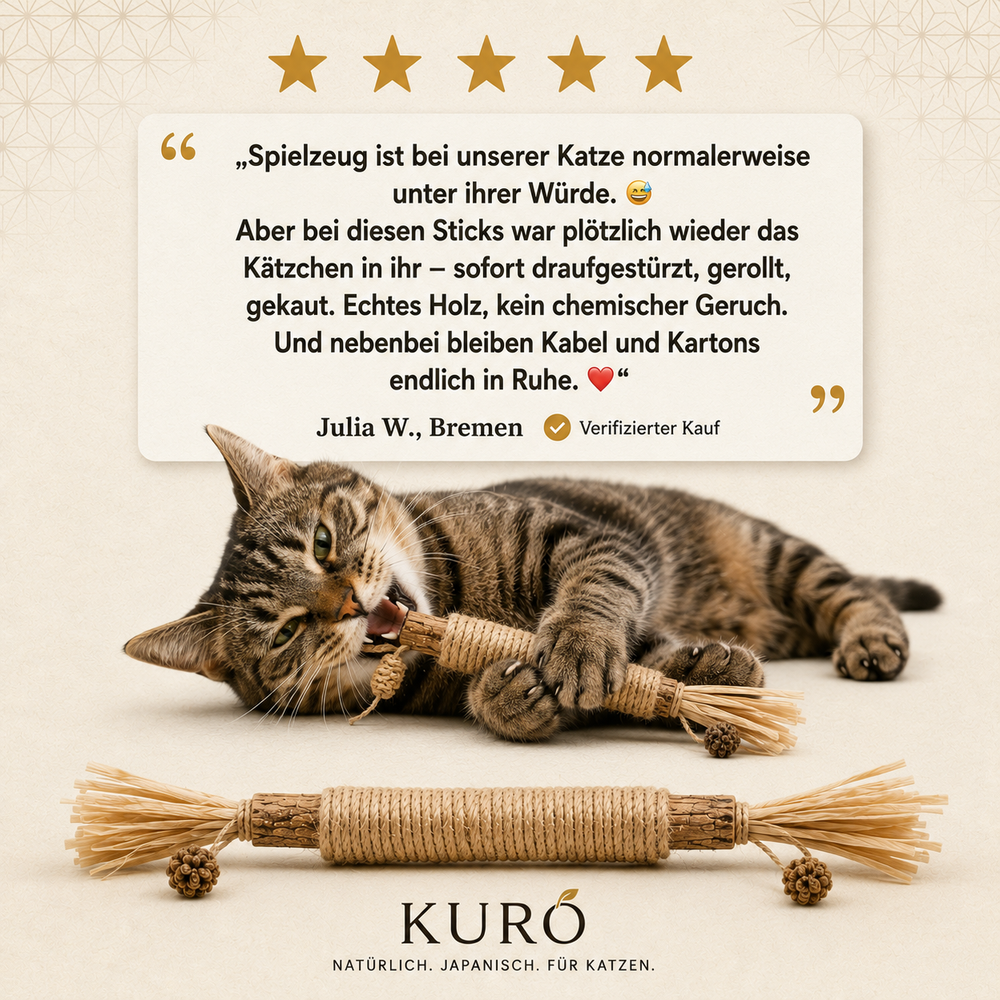 Ein einfaches Ritual.Gesunde Zähne, weniger Zerkautes – und eine ausgeglichene Katze.
