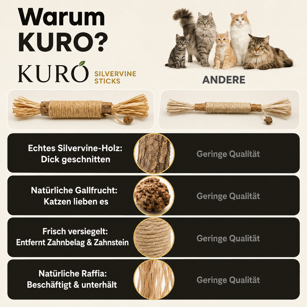 Ein einfaches Ritual.Gesunde Zähne, weniger Zerkautes – und eine ausgeglichene Katze.
