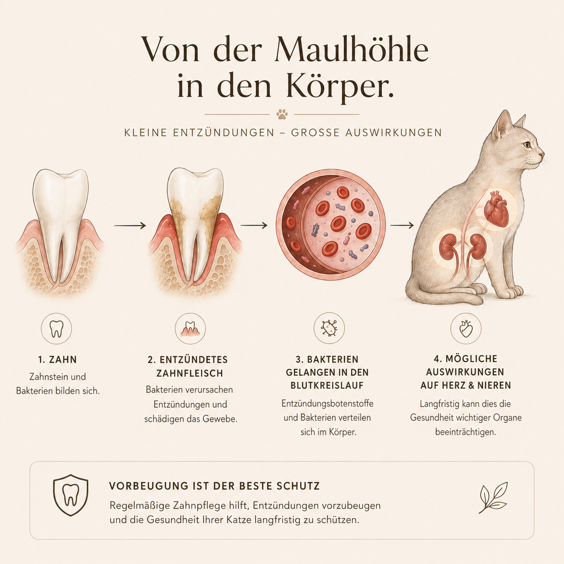 Zahnbelag bleibt nicht im Maul.