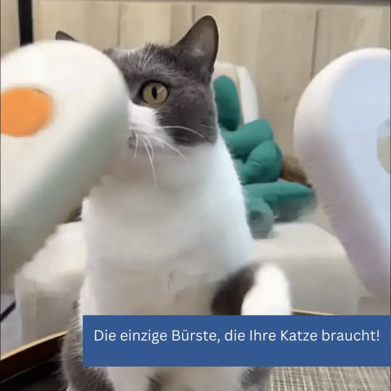 KURO ZenBrush™ Die sanfte Fellpflege mit Dampf